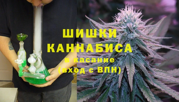 прущие грибы Алексеевка