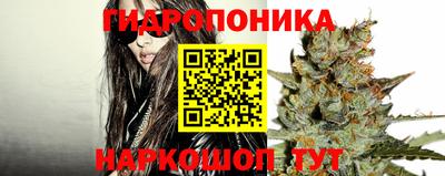 трава Краснодар