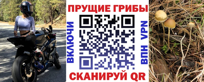 ОМГ ОМГ tor Лесосибирск Галлюциногенные грибы GOLDEN TEACHER