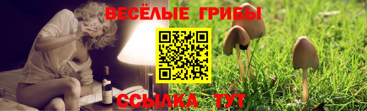 Псилоцибиновые грибы MAGIC MUSHROOMS Лесосибирск